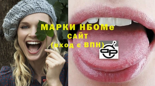 СК Елизово